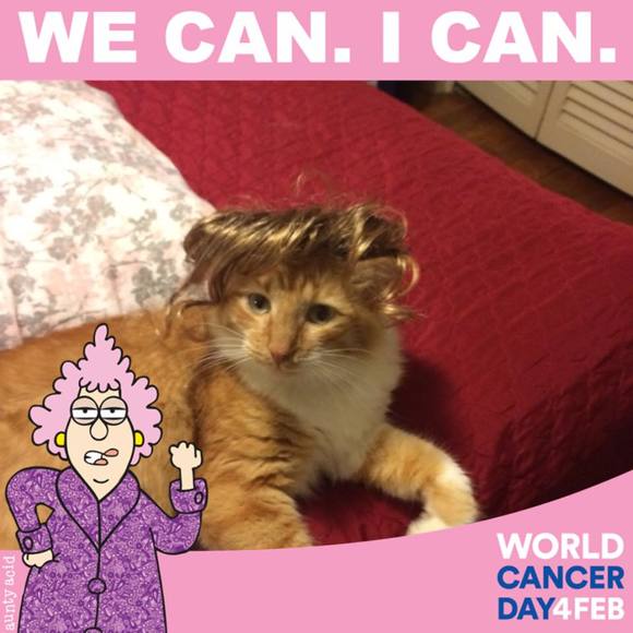 Meet your Posher, Isabel - Picture 1 of 1